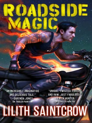 cover image of Roadside Magic